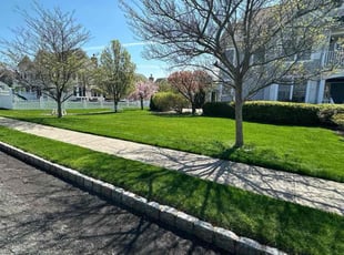 Marry B.'s Lawn Maintenance service result