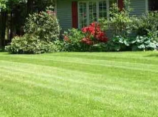 Wendy N.'s Lawn Service service result