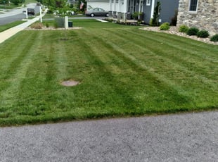 Michael C.'s Grass Cutting service result