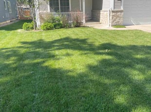 Vivian O.'s Grass Cutting service result