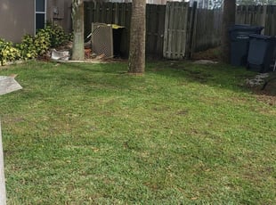 Farmers Branch TX Lawn Care Service Lawn Mowing from 19 Best