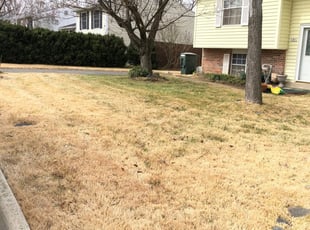 Farmers Branch TX Lawn Care Service Lawn Mowing from 19 Best