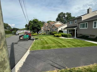 Conor S.'s Lawn Mowing service result