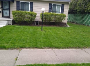Richard R.'s Lawn Mowing Service service result
