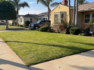 Andrew R.'s Grass Cutting service result