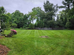 Bintou Z.'s Lawn Service service result