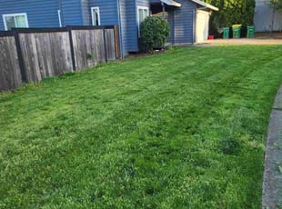 Megan G.'s Lawn Mowing service result