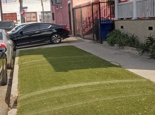 Laura L.'s Lawn Service service result