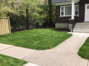 James W.'s Grass Cutting service result