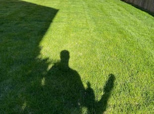 Steve D.'s Landscaping service result