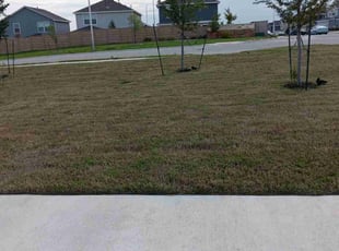 Corey R.'s Landscaping service result