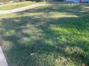 Brook S.'s Landscaping service result