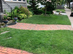 Paulette B.'s Lawn Mowing service result