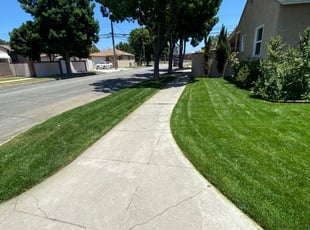 Michelle L.'s Lawn Service service result