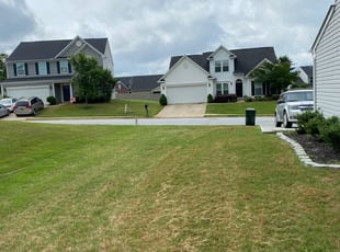 Romaine L.'s Lawn Maintenance service result
