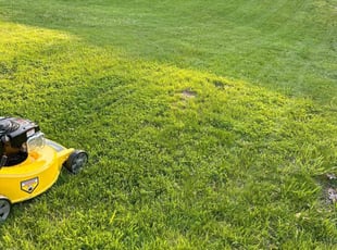 Marcella B.'s Lawn Service service result