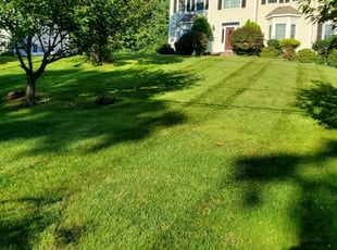Jessica C.'s Yard Cutting service result