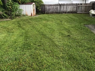 San Gabriel Full Service Lawn Care thumbnail