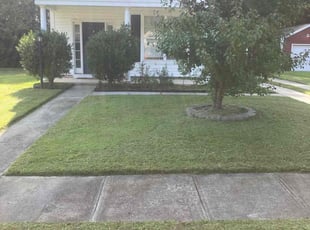 Susan H.'s Lawn Mowing service result
