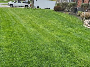Sarah L.'s Lawn Mowing service result