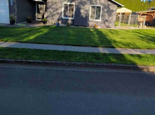 Rolfe F.'s Lawn Mowing service result