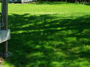 Cara G.'s Lawn Service service result