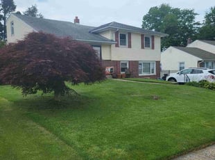 Stephanie A.'s Grass Cutting service result