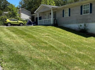 Harry H.'s Lawn Maintenance service result