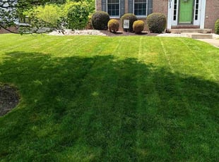 Thomas R.'s Lawn Mowing service result