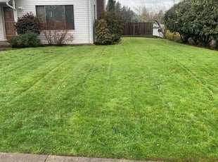 Trisha A.'s Lawn Service service result