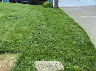 Sean R.'s Lawn Mowing service result