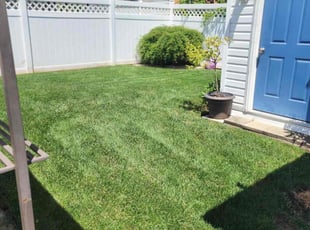 Pallas F.'s Lawn Care service result