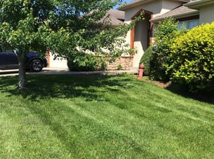 Sarah R.'s Lawn Mowing Service service result
