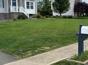 Randell W.'s Lawn Service service result