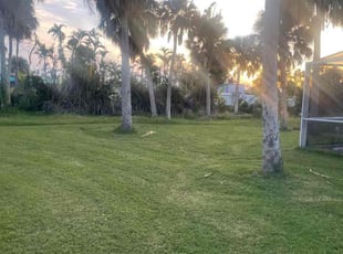 Len's lawn hotsell mower services inc