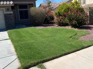 Shawn J.'s Yard Cutting service result