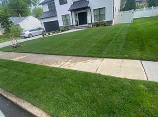Carla S.'s Lawn Mowing service result