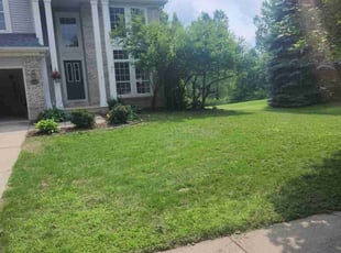 Pat A.'s Lawn Mowing Service service result