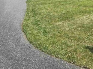 Nina H.'s Lawn Mowing service result