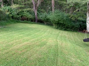 Letha B.'s Lawn Maintenance service result
