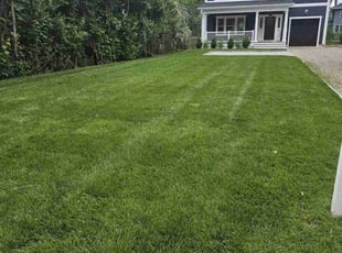 Dee N.'s Lawn Mowing service result