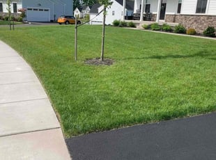 Dustin S.'s Lawn Maintenance service result