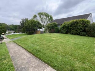 Pat R.'s Lawn Mowing service result