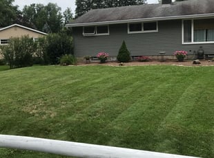 Antoinette R.'s Lawn Service service result