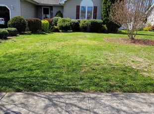 Lester C.'s Lawn Care service result