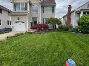 Trish L.'s Yard Cutting service result