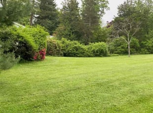 Michael D.'s Lawn Mowing Service service result