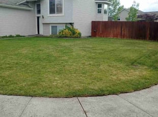 Kimberly A.'s Lawn Maintenance service result