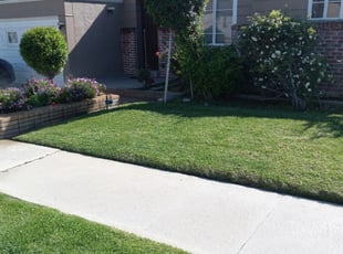 Stacy P.'s Grass Cutting service result