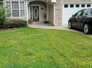 Stephen H.'s Lawn Care service result
